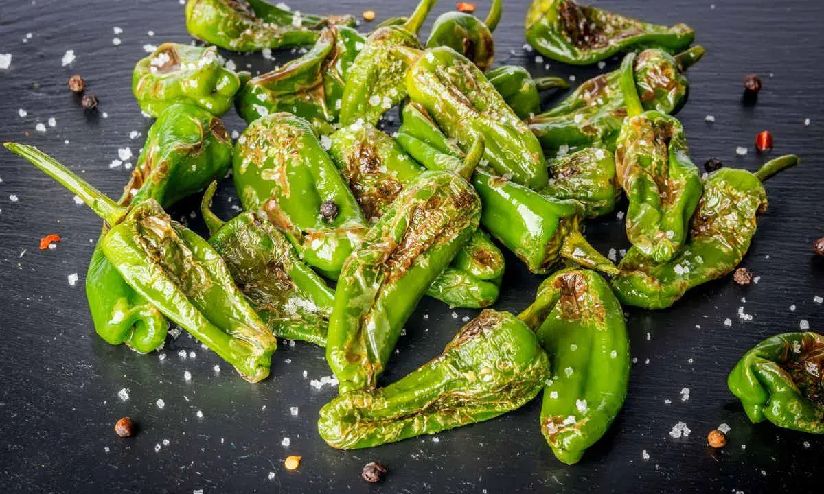 Friggitelli verdi, cotti in friggitrice ad aria, cosparsi di sale grosso e pepe nero su una superficie scura.